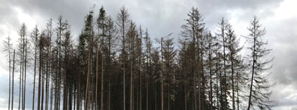 Foto: Jakub Hruška / archiv autora