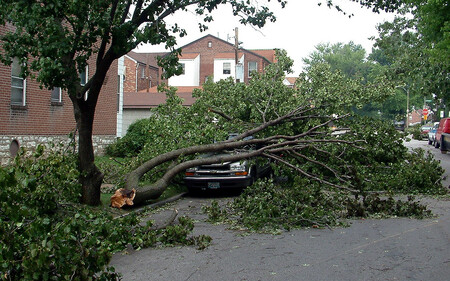 Globální oteplení a s ním spojené jevy loni přišly pojišťovnu Munich Re na 24 miliard dolarů. Ilustrační snímek.