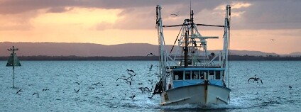 Foto: bertknot / Flickr