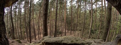 Foto: Jan Pohunek / Flickr