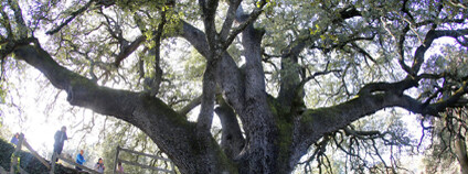 Foto: Nadace partnerství