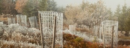 Foto: Krkonošský národní park