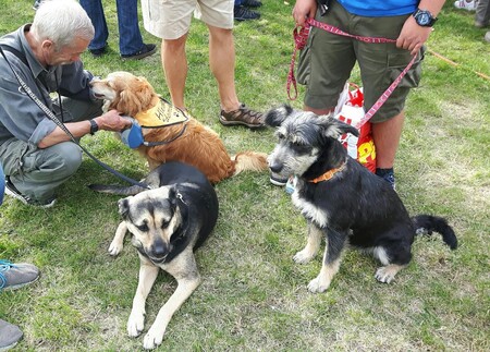 Centrum pro zvířata v nouzi.