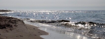 Foto: Marzena / Flickr