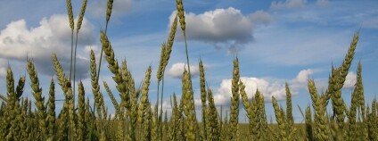 Foto: Anita / Flickr