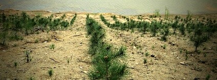 Foto: Radomír Dohnal / Ekolist.cz