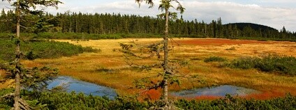 Foto: Kamila Antošová / KRNAP