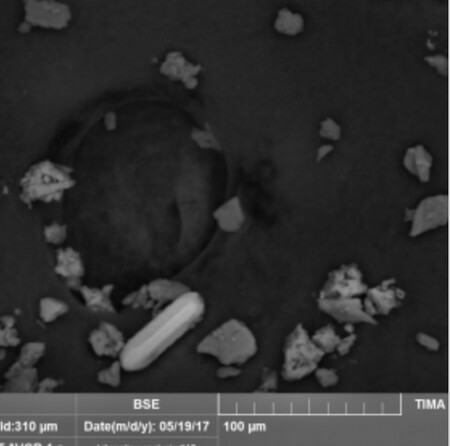 Vědci z Ústavu struktury a mechaniky hornin a Geologického ústavu Akademie věd ČR (AV ČR) vytvořili elektronický atlas prachových částic.