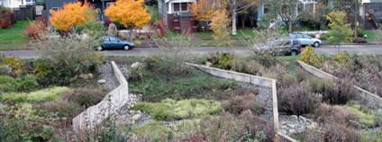 Foto: Seattle Parks / Flickr