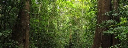 Foto: Axel Drainville / Flickr