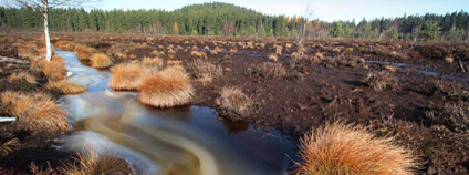 Foto: Přemysl Tájek / AOPK ČR