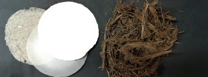 Foto: Kathrin Weiland