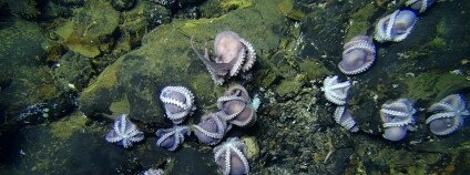 Foto: Phil Torres, Geoff Wheat