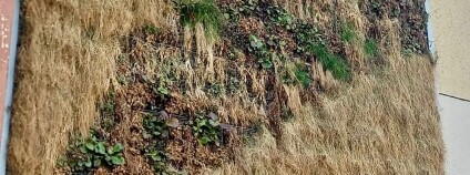 Foto: Strommy Company s.r.o.