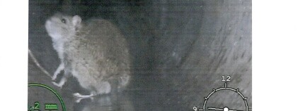 Foto: Středočeské vodárny