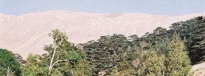 Libanonská krajina Foto: IsmailKupeli Flickr