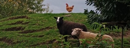 Foto: Matěj Pomahač