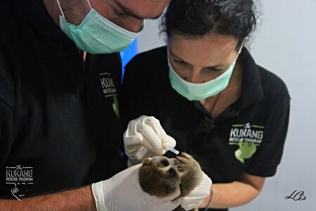 Nyní Zoo Ostrava začne ze vstupu každého návštěvníka dávat na ochranu přírody dvě koruny. / Ilustrační foto