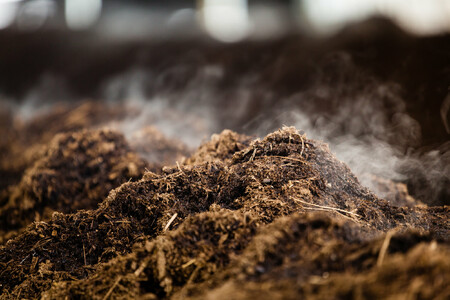 Bojovat proti klimatickým změnám, ale ignorovat přitom exkrementy, je prý trestuhodné opomíjení souvislostí. Ilustrační snímek.
