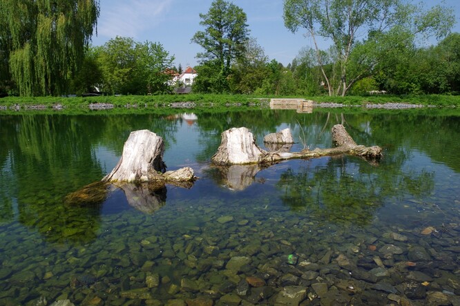 Revitalizovaná nádrž Terezka. Své místo ve vodě má i mrtvé dřevo.