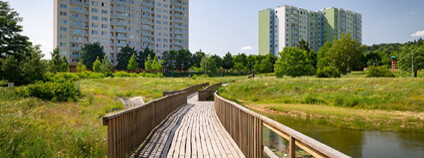 Foto: Vojta Herout / Nadace Partnerství