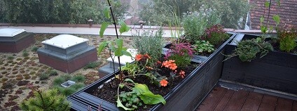 foto: A. Jarošová / plzen.eu