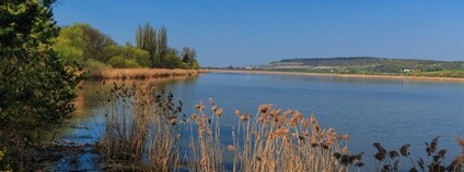 Žehuňský rybník Foto: Petr1888 Wikimedia Commons