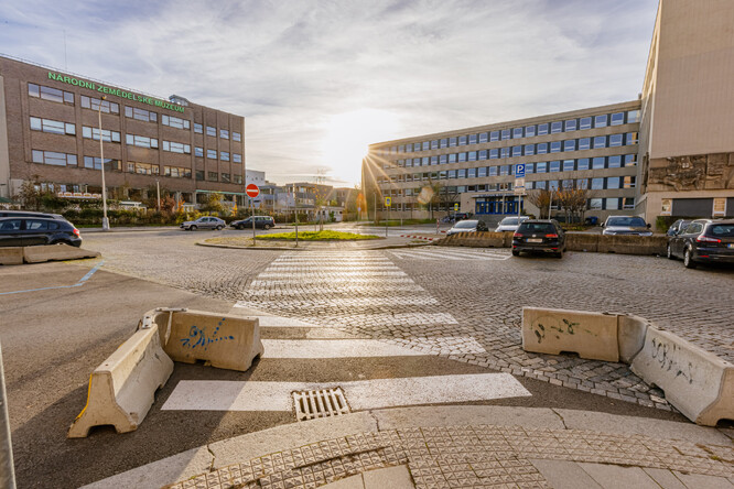 Dopravní stíny - nakreslené bílé pruhy na vozovce, kde se nic neděje. Patří k prostorům, které znepříjemňují pohyb po městě, protože kvůli nim dlouho trvá někam se dostat.