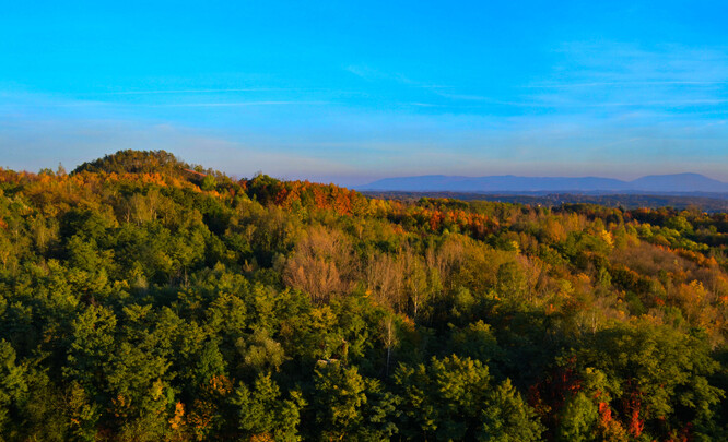 Halda Ema v pohornické krajině Slezské Ostravy.