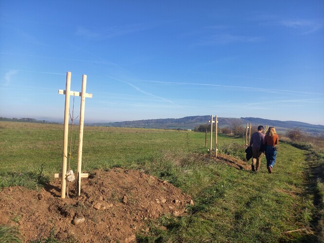 Obnova historické cesty a výsadba původních odrůd hrušní u obce Očihov. Obnova historické cesty a výsadba původních odrůd hrušní u obce Očihov.