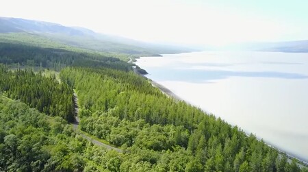 Ostrov dnes ve jménu biodiverzity a klimatu lesy znovu intenzivně vysazuje. Island je považován za nejméně zalesněnou zemi z celé Evropy - lesy zaujímají sotva 0,5 procenta území Islandu. / Ilustrační foto
