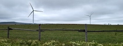 foto: Vladimír Wagner