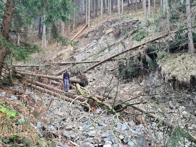 Mělký sesuv na počátku mury, Smrk (Moravskoslezské Beskydy).