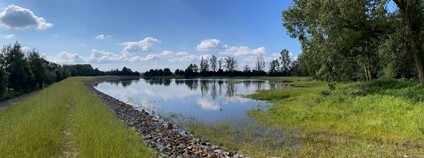 Lesy ČR obnovily vodní nádrž Pod Emauzy ve Vražném na Novojičínsku Foto: Lesy ČR