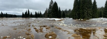 Foto: Lukáš Linhart / NP Šumava