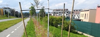 Foto: Katarína Ruschková