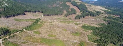 Foto: Společnost přátel Jeseníků