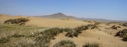 Foto: Mendelova univerzita v Brně