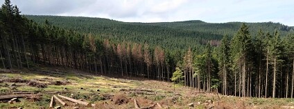 Foto: Miroslav Havira / AOPK