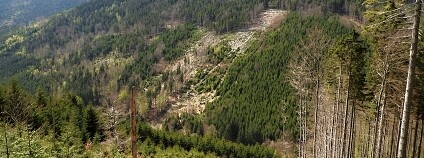 Foto: archiv Společnosti přátel Jeseníků