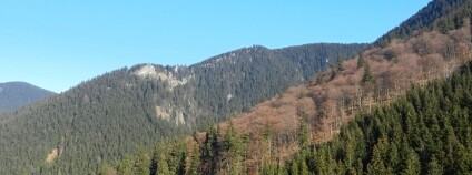 NPR Praděd: největší ostrov horské divočiny na Moravě s evropsky mimořádnou přírodou. Foto: Společnost přátel Jeseníků