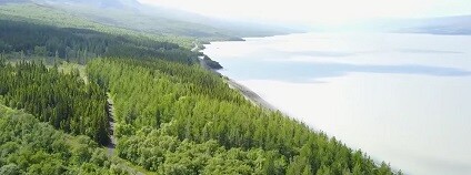 foto: National Geographic / youtube.com