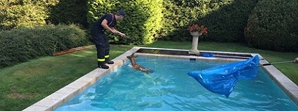 foto:  HZS Moravskoslezského kraje