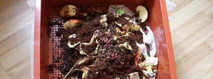 foto: envic-sdruzeni.cz