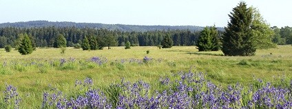 Foto: Ochrana přírody