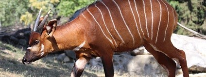 Foto: Ochrana přírody