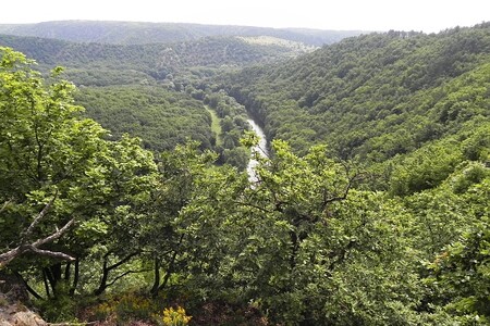 Správa národního parku Podyjí na Znojemsku loni od soukromých vlastníků vykoupila další pozemky v parku. Za 3,7 hektaru zaplatila 800.000 korun. Šlo například o část Lipinské louky (na snímku) nebo lesní pozemky u Čížova, Konic a Podmolí.