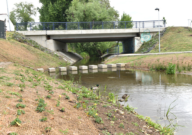 Brno upravilo část břehu Staré Ponávky nad sídlištěm Komárov.
