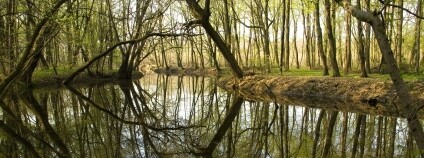 Foto: Jan Miklín / AOPK ČR