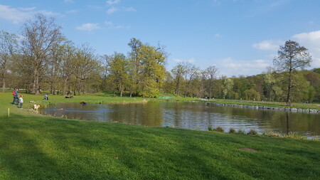 Královská obora neboli Stromovka je největší pražský park.